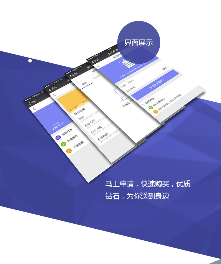 钻石商城网站建设案例